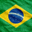 巴西国家队旗帜